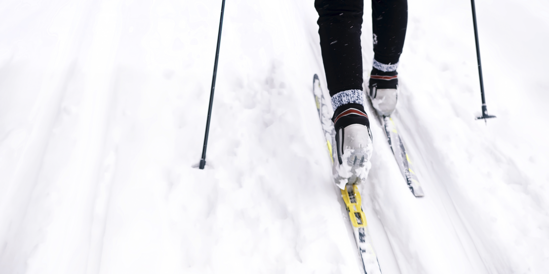 langrenn bakgrunn adobe large