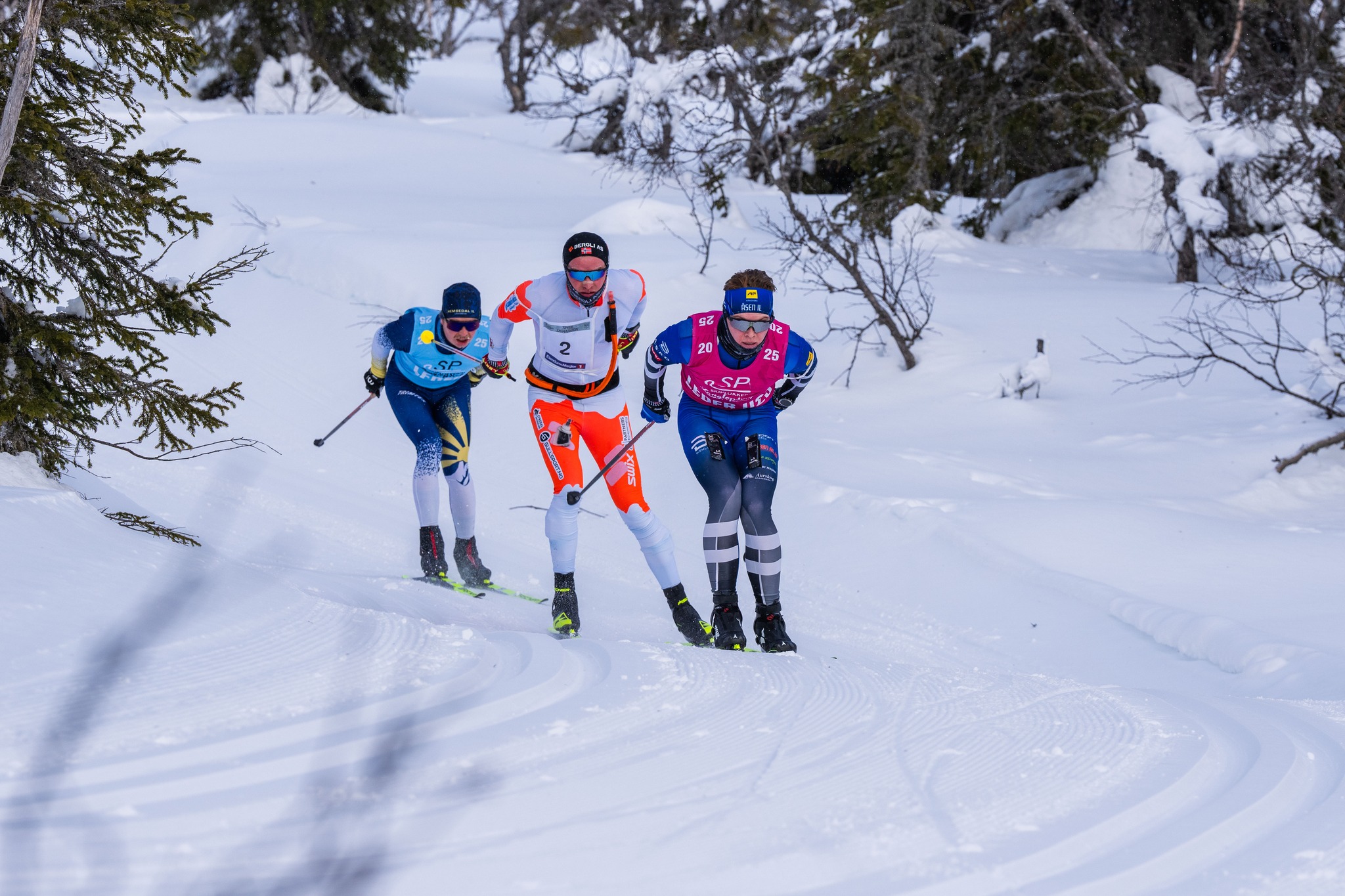 Trysil 25 tetenhalvveis